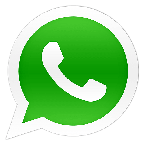 Integração com WhatsApp para atendimento e disparos em massa